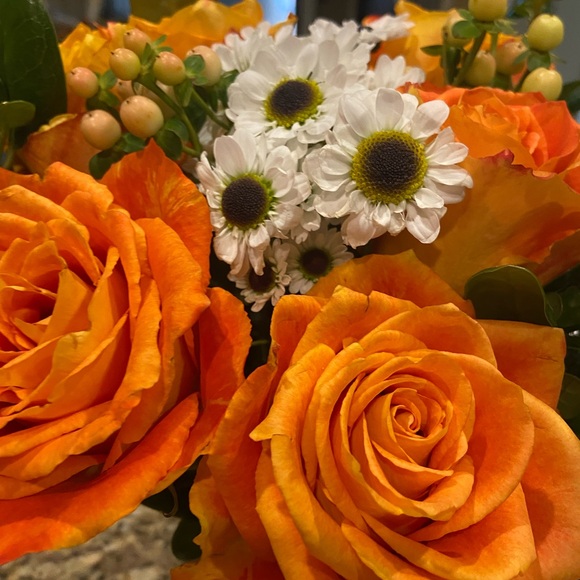 Meet your Posher, Cali - Picture 6 of 9